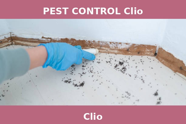 PEST CONTROL Clio